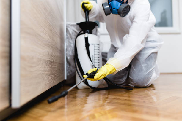 Best Wasp Removal Services  in Lake Hallie, WI