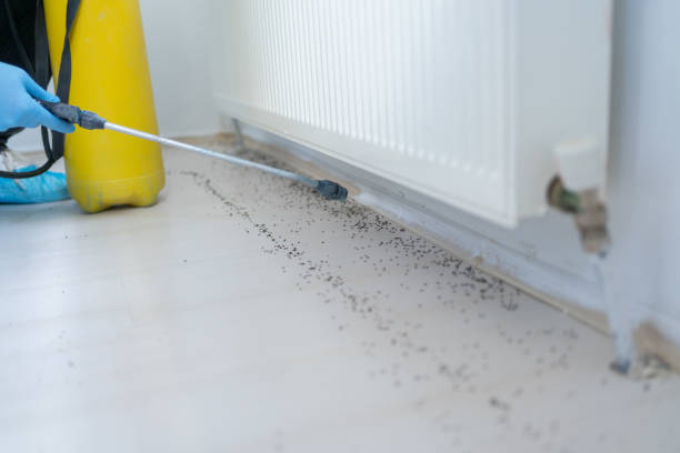 Reliable Lake Hallie, WI Pest Control Solutions