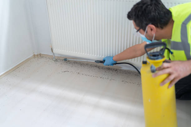 Best Commercial Pest Control Services  in Lake Hallie, WI